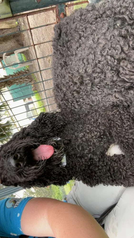 Nala thumbnail 2