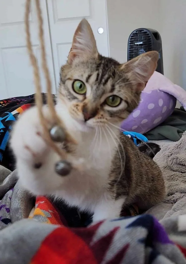 Rosita Bustillos thumbnail 3