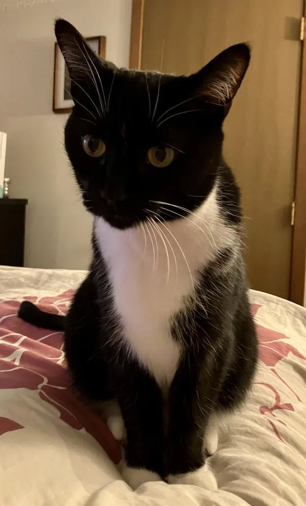 Miss Marvel thumbnail 2