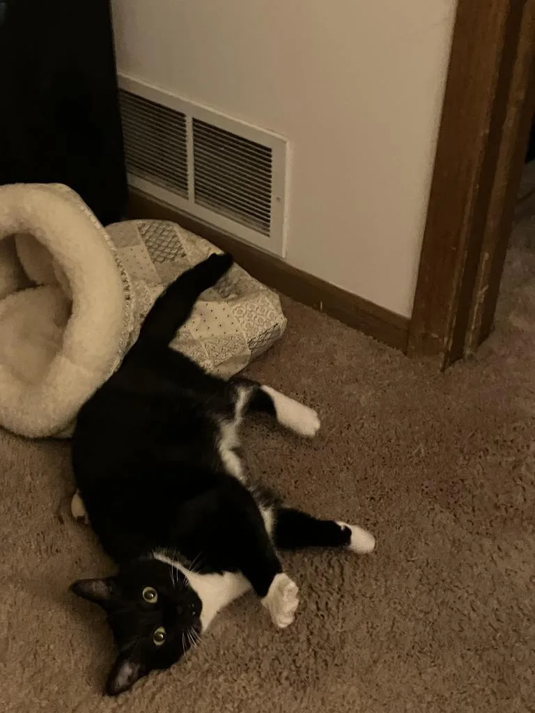 Miss Marvel thumbnail 4