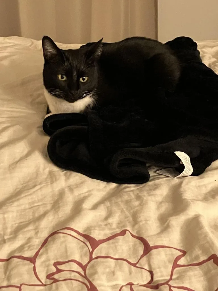 Miss Marvel thumbnail 6