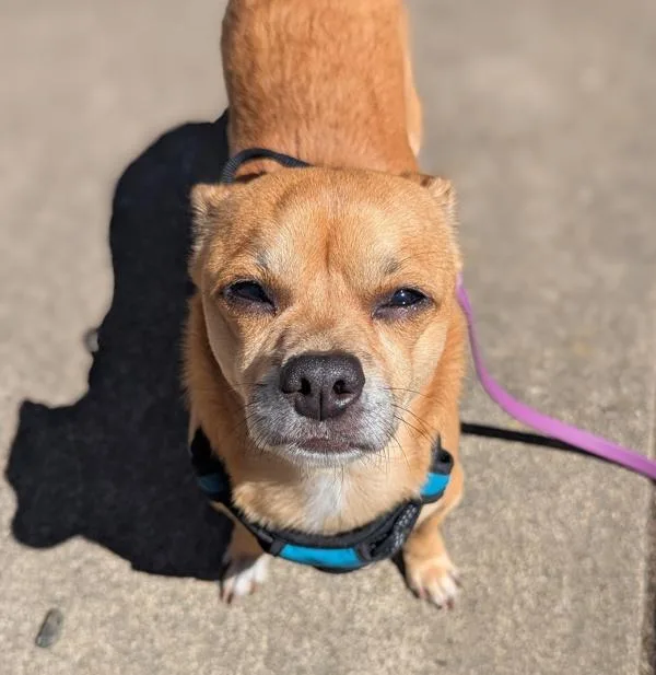 Bouncyball thumbnail 2