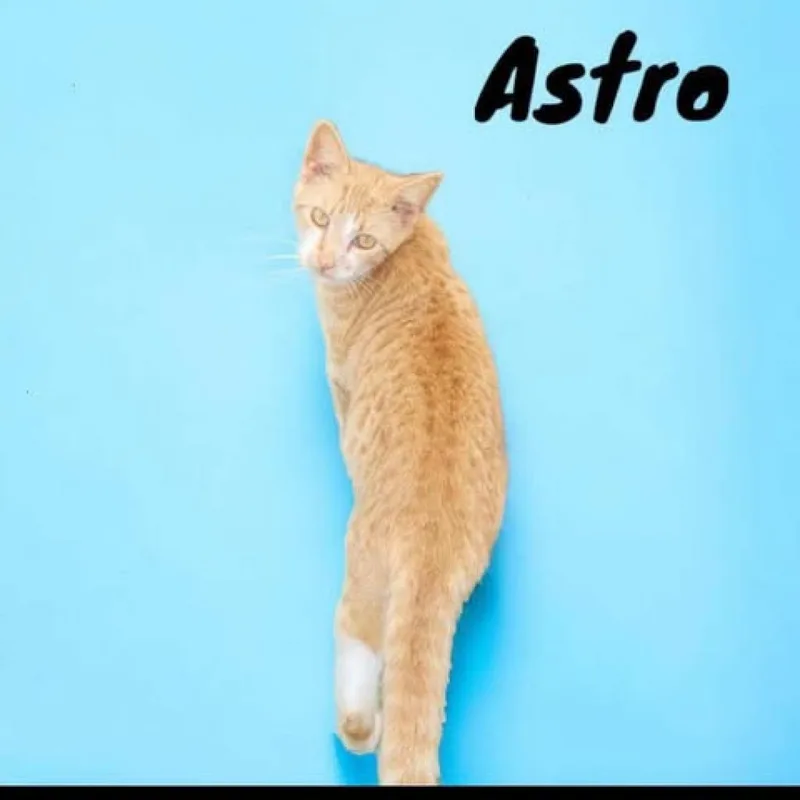 Astro
