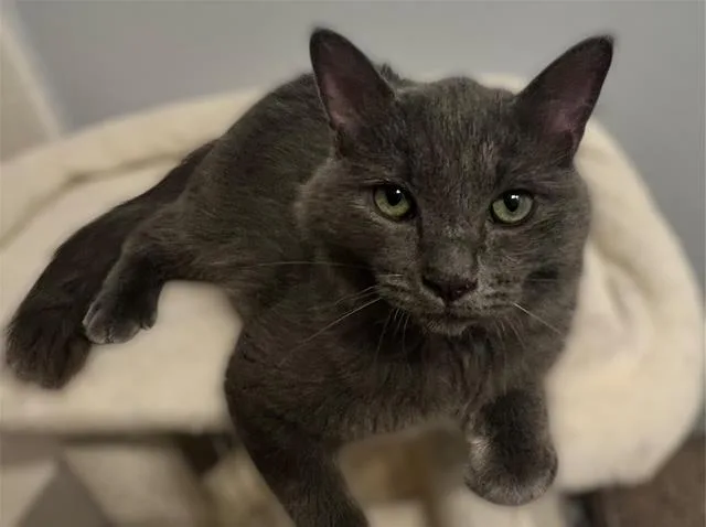 Norman Holder thumbnail 2