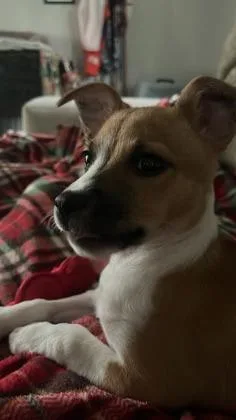 Andy thumbnail 3