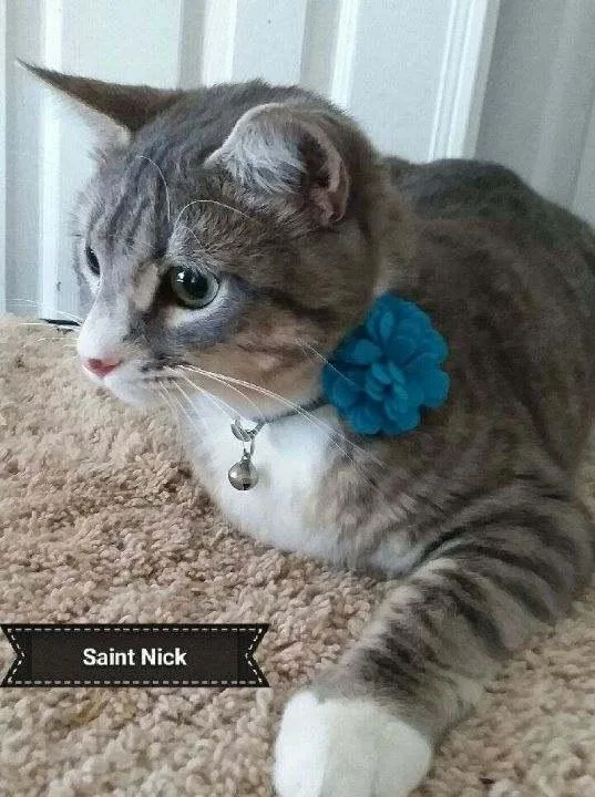 St.nick thumbnail 2