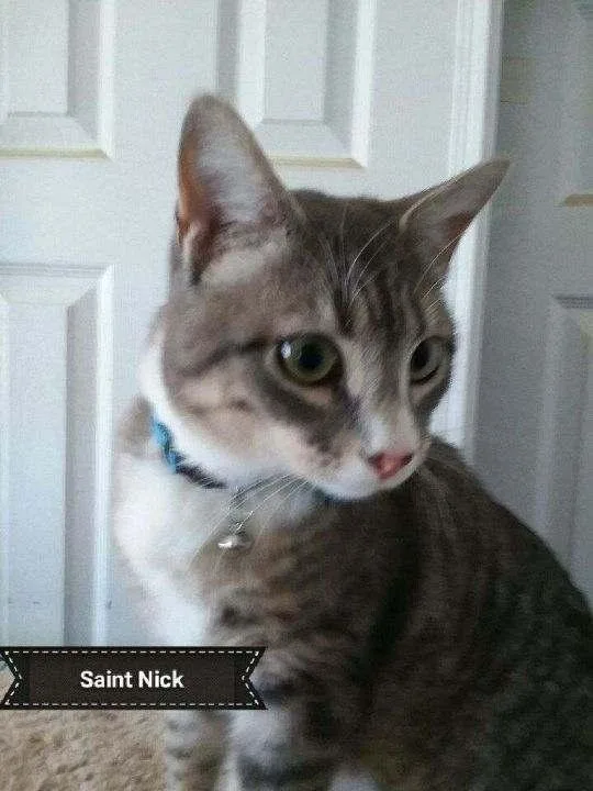 St.nick thumbnail 3