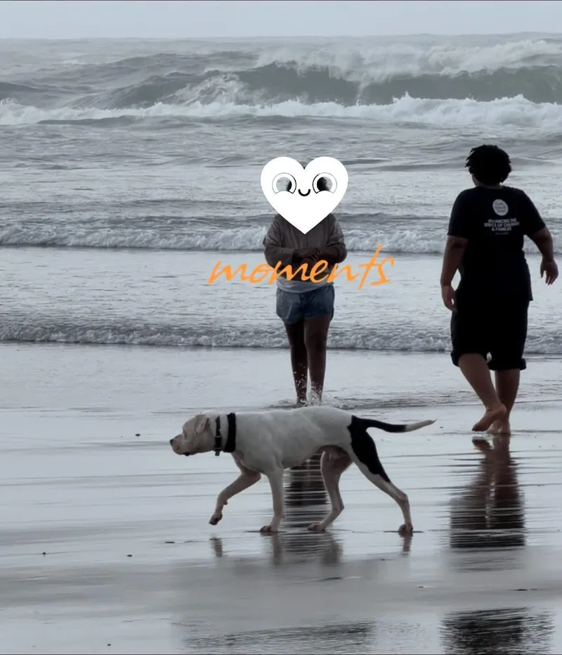Sleepy thumbnail 2