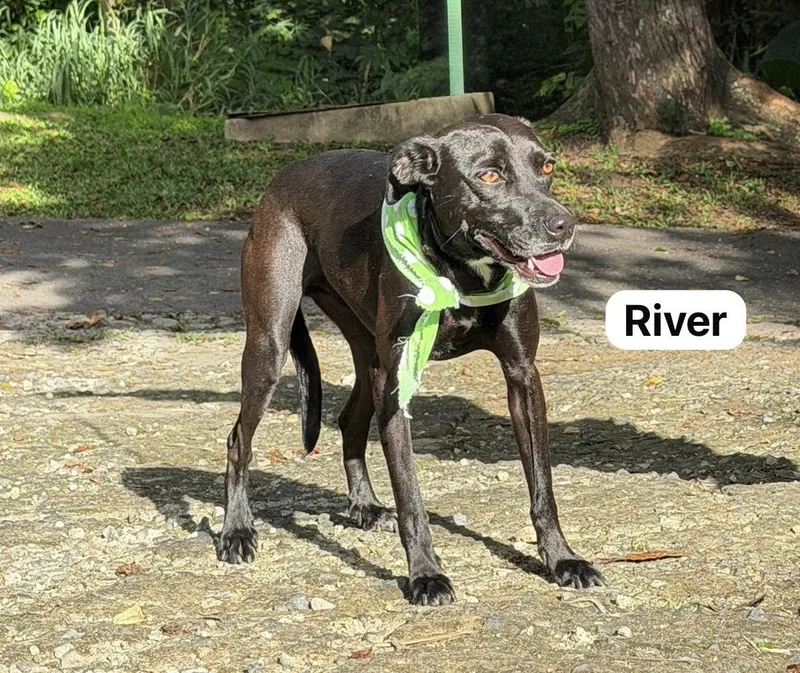 River thumbnail 2