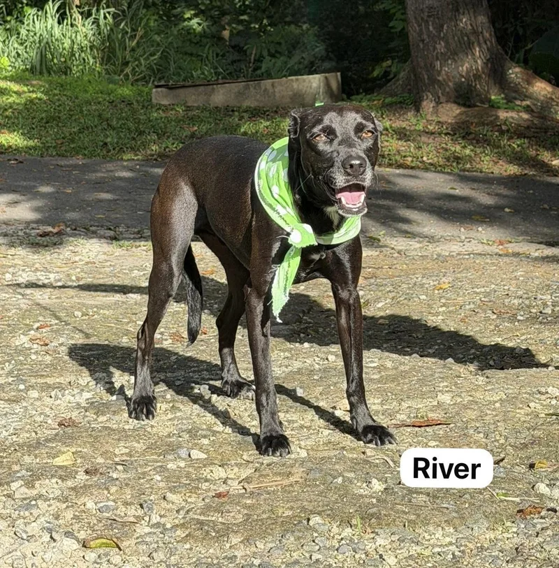 River thumbnail 5