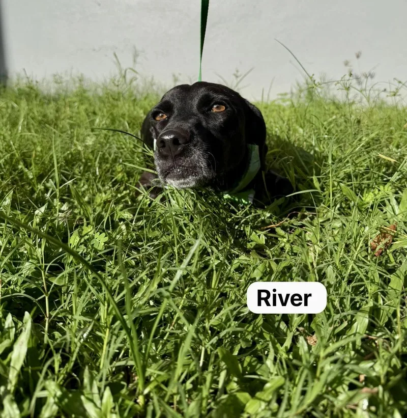 River thumbnail 6