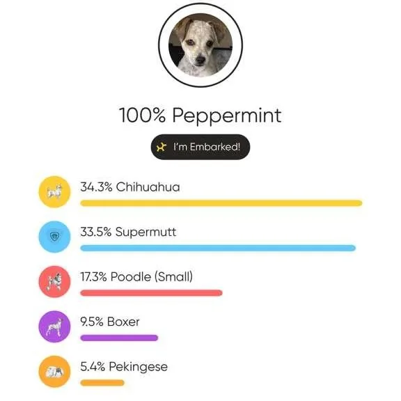 Peppermint thumbnail 2