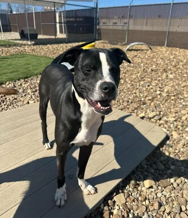 Poseidon thumbnail 2