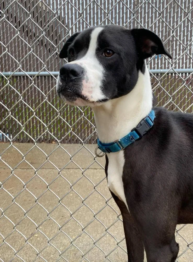 Poseidon thumbnail 3