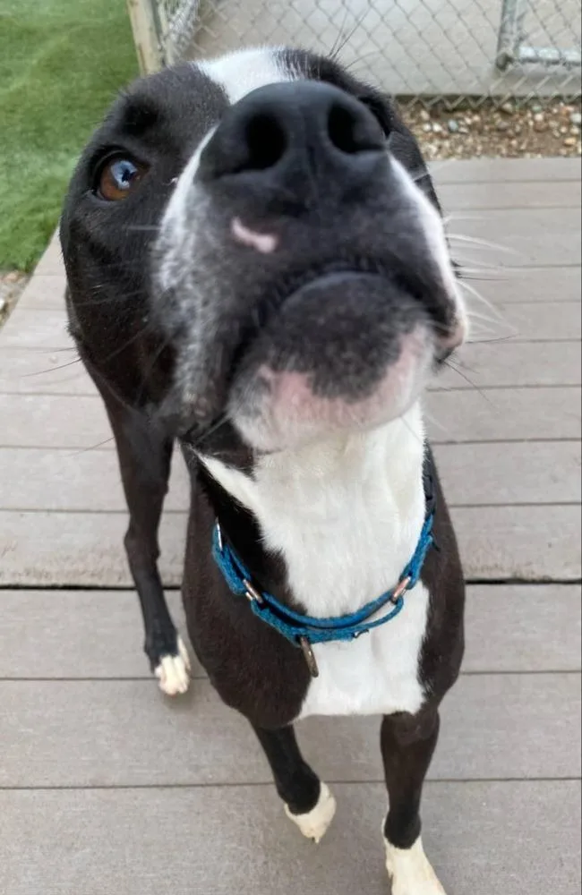 Poseidon thumbnail 4