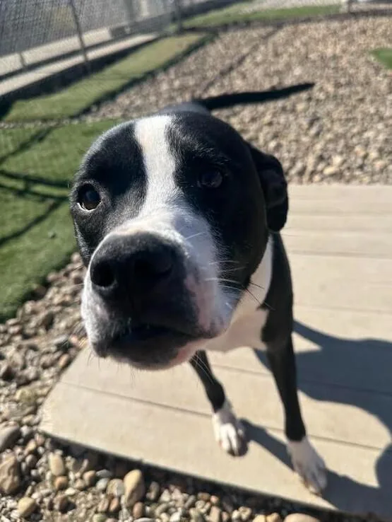 Poseidon thumbnail 5