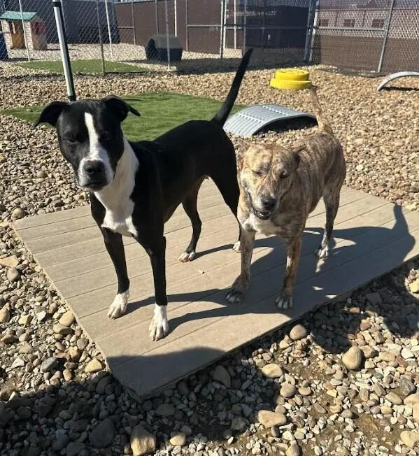 Poseidon thumbnail 6