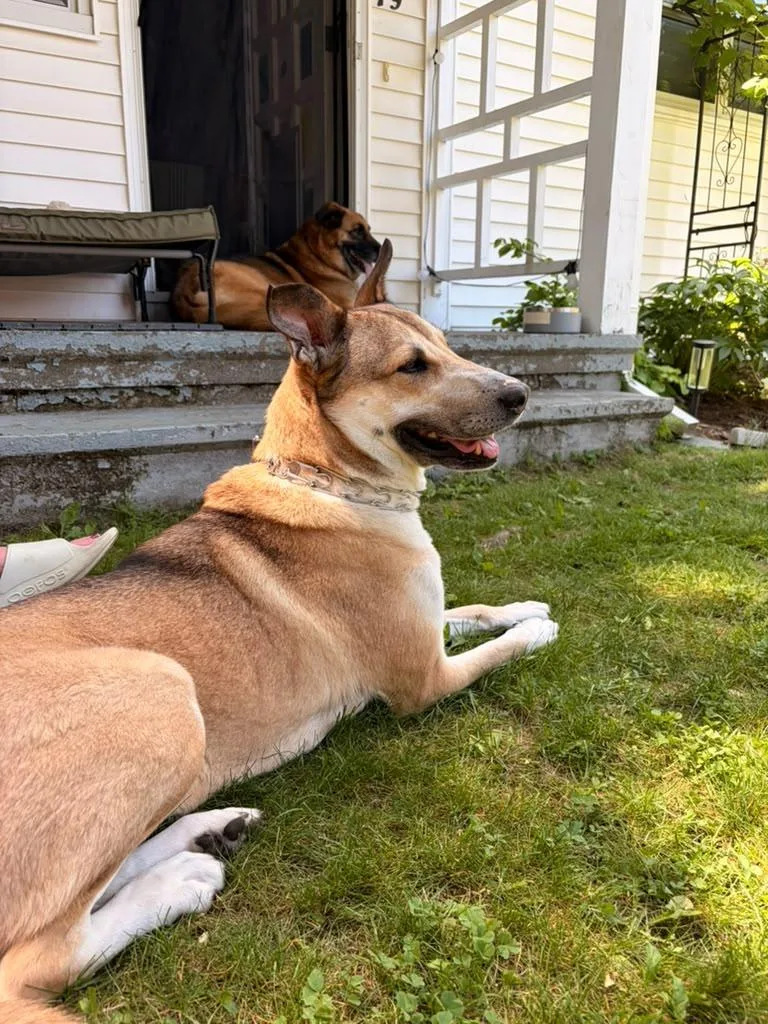 Shiloh