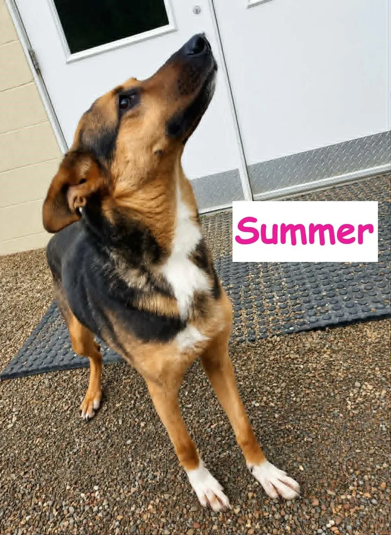 Summer thumbnail 2