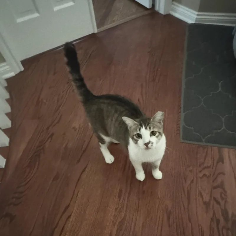 Janet thumbnail 2