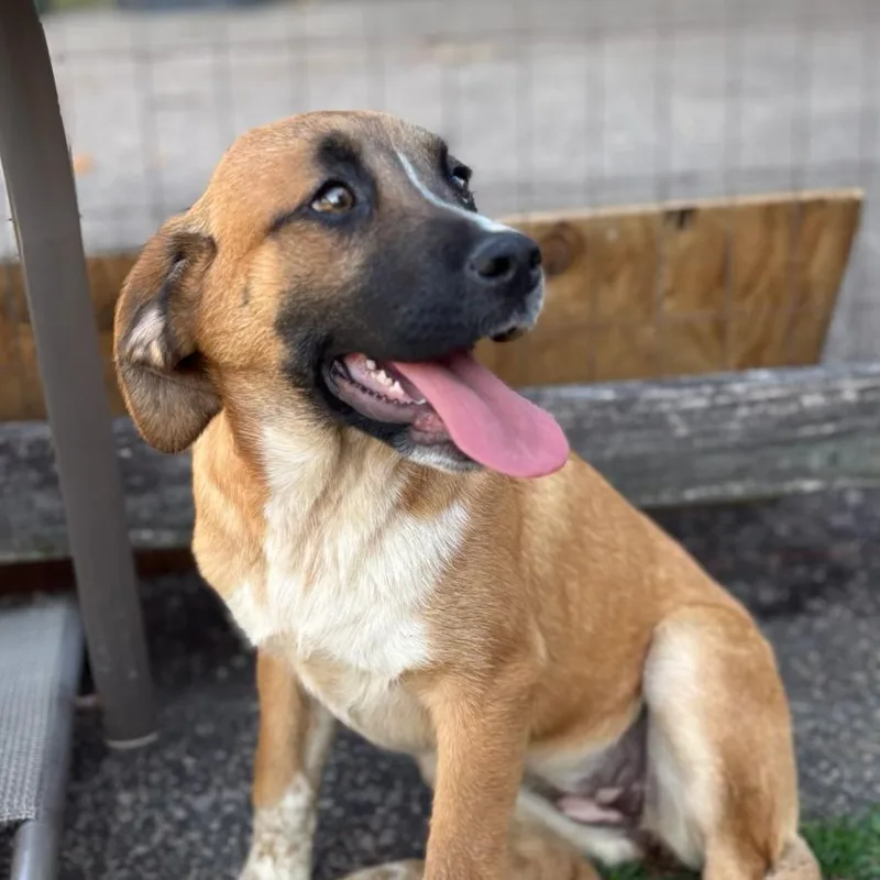 Lovely Rita thumbnail 2