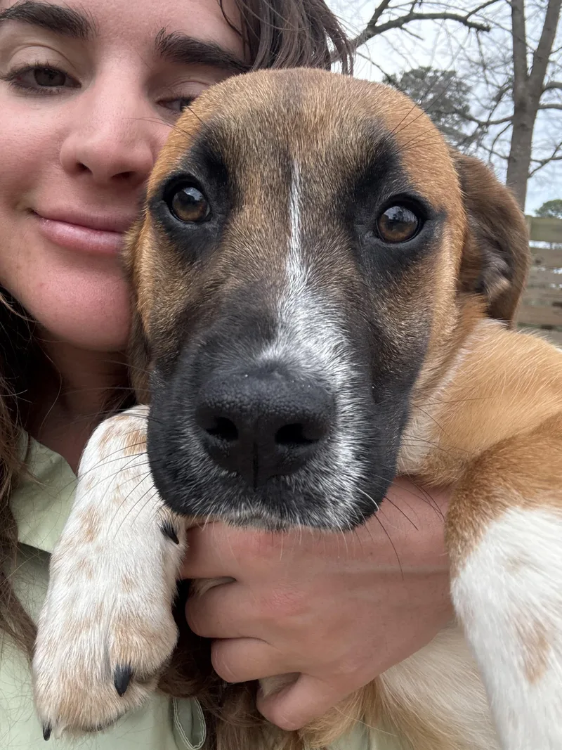 Lovely Rita thumbnail 3