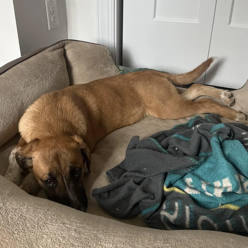 Lovely Rita thumbnail 4