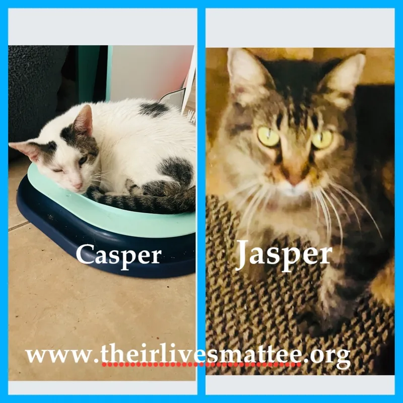 Casper And Jasper thumbnail 2