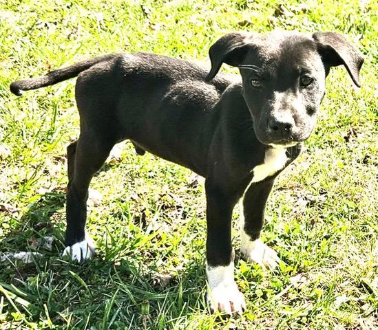 Fargo Famous thumbnail 2