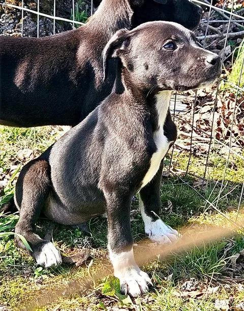 Fargo Famous thumbnail 3