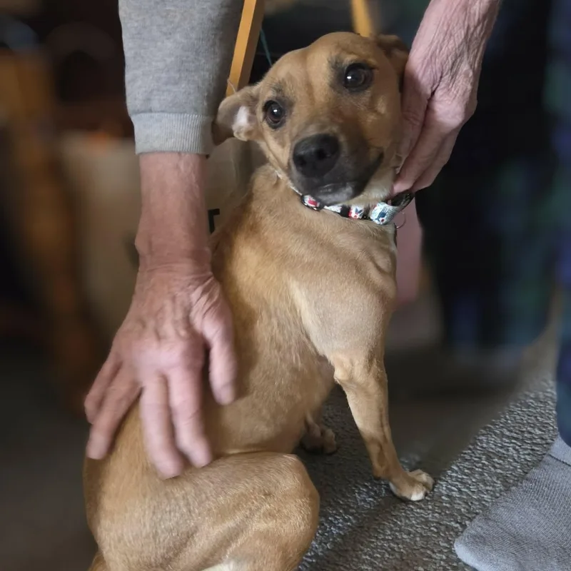 Isabella thumbnail 6