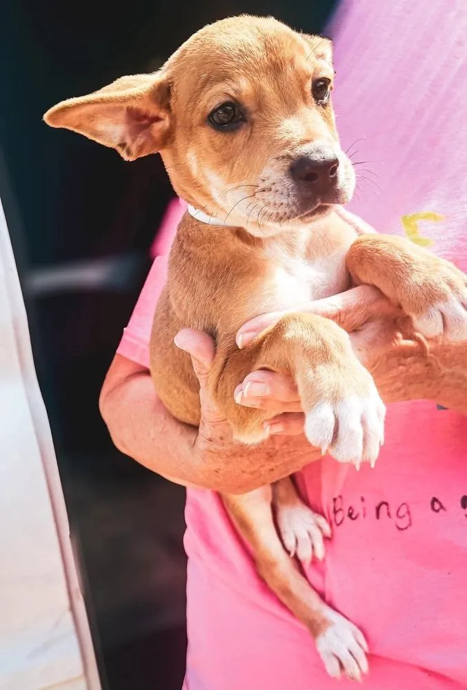 Rio thumbnail 3