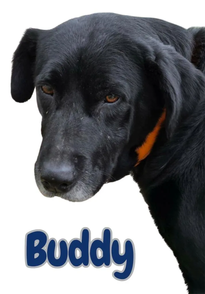 Budbubba thumbnail 3