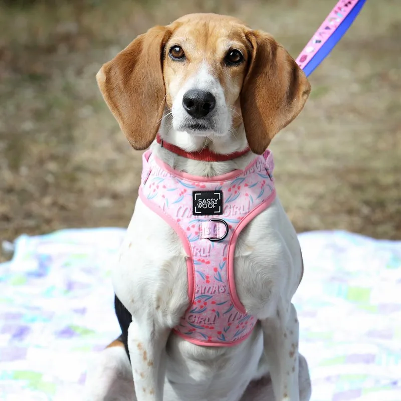 Lilly Lou thumbnail 2