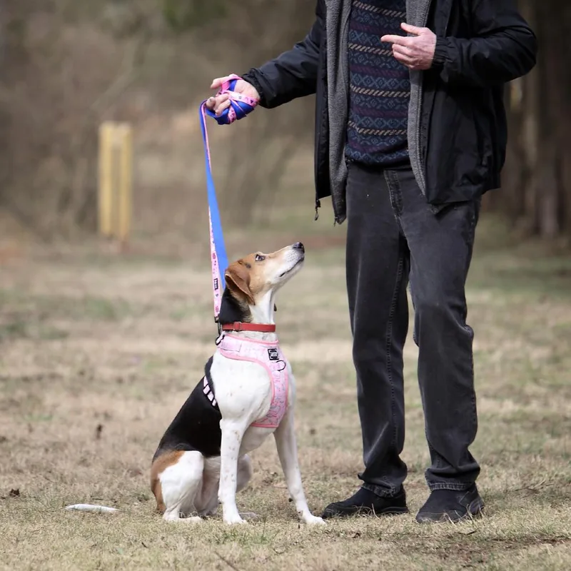 Lilly Lou thumbnail 4