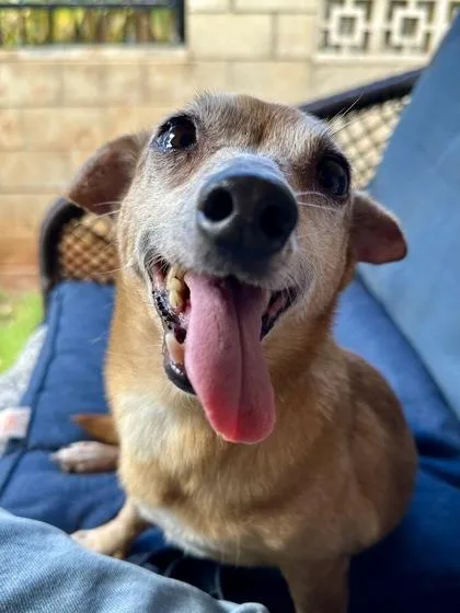Sam