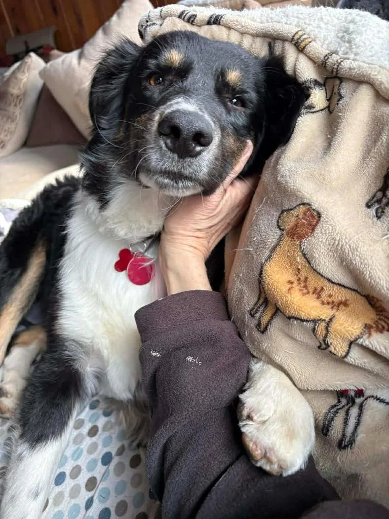 King Toots $ thumbnail 2