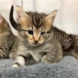 Nurse Donny thumbnail 2