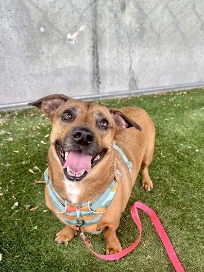 Moncler thumbnail 3