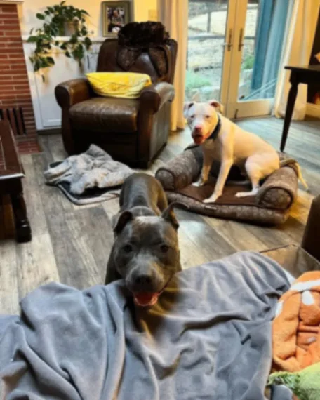 Dean Keaton thumbnail 2