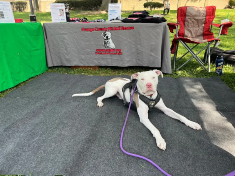 Dean Keaton thumbnail 3