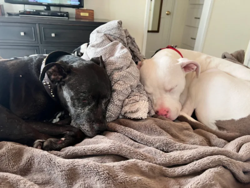 Dean Keaton thumbnail 4