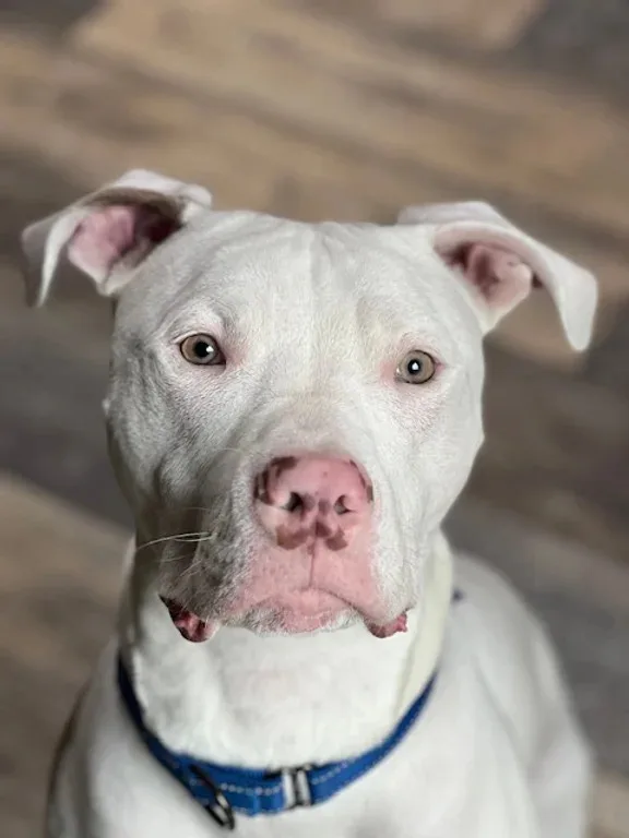 Dean Keaton thumbnail 5