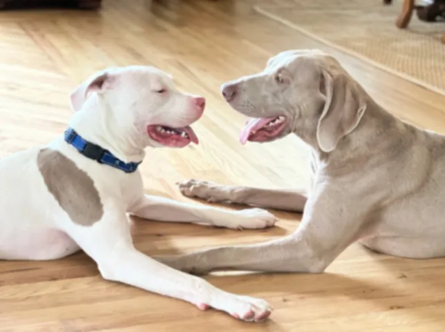 Dean Keaton thumbnail 6