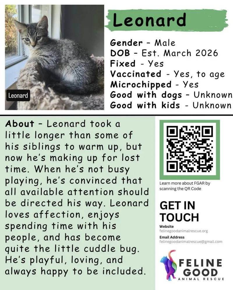 Leonard thumbnail 4