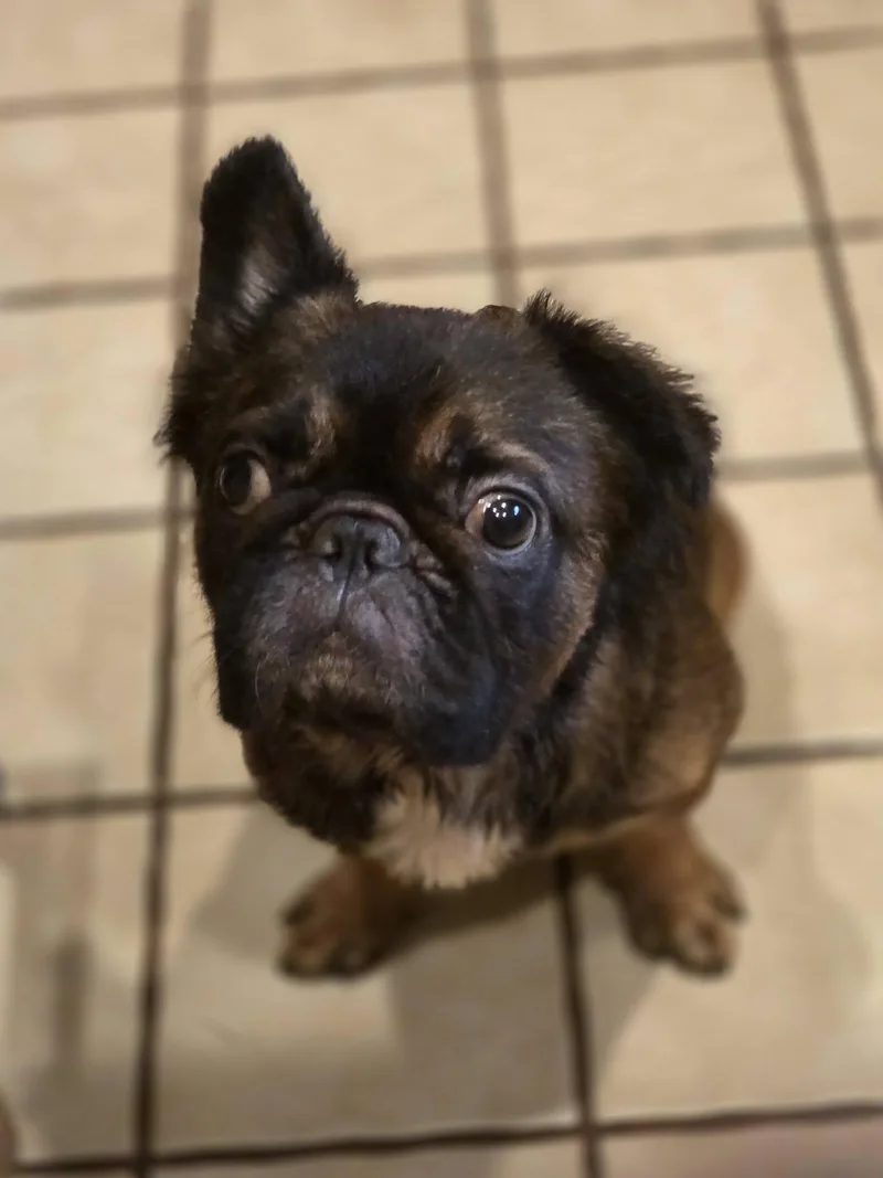 Morty