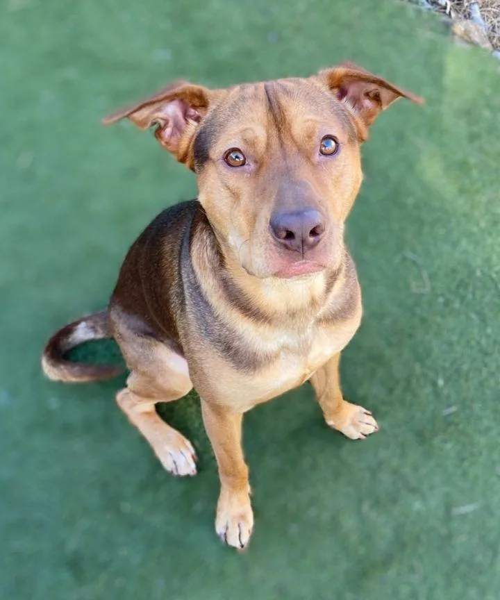 Saturn thumbnail 2