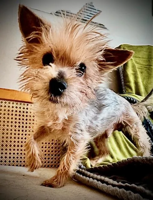 Franklin thumbnail 2