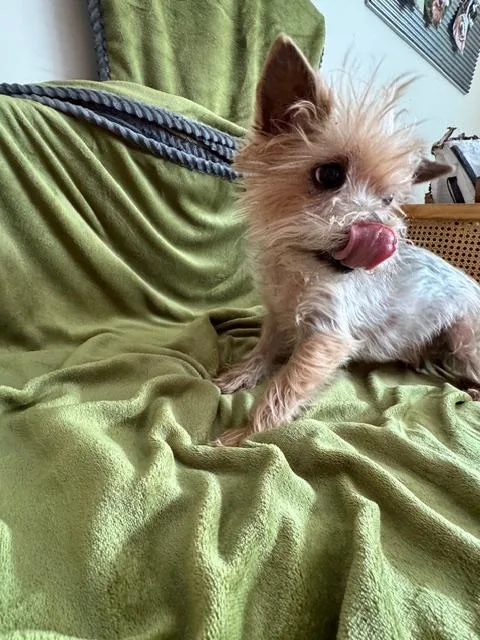 Franklin thumbnail 5