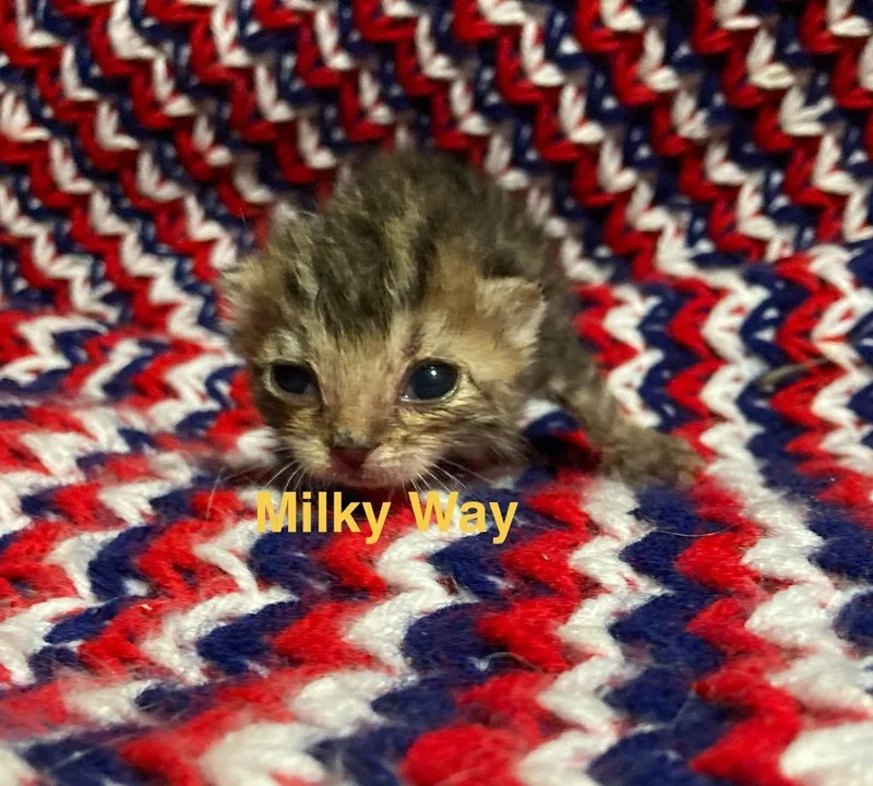 Milky Way thumbnail 3